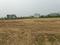 Shikhar greens Plot View 2
