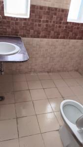 Image of 2450 Sq.ft 4.5 BHK Villa for rent in Amrapali Dream Valley, Noida Extension, Greater Noida for Rs. 38500