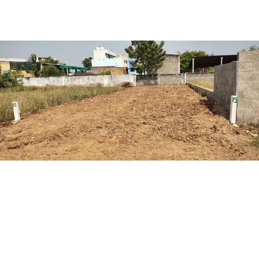 Srinivasarao Pet Main Image 1