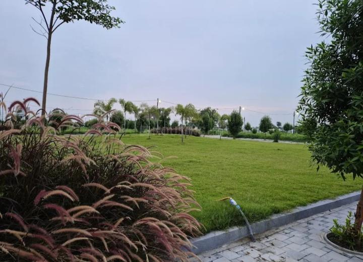 Silicon Sansaara Main Image 1