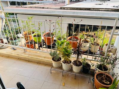 Balcony Image of 1475 Sq.ft 3 BHK Apartment / Flat for sale in Casagrand Lorenza, Kogilu Bengaluru for Rs. 17500000