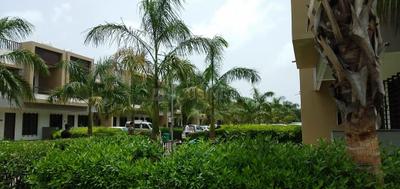 Image of 1080 Sq.ft 2 BHK Independent House for rent in Maroli, Navsari for Rs. 14000