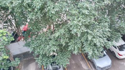 Image of 1500 Sq.ft 3 BHK Apartment / Flat for sale in Exotica East Square, Indirapuram, Ghaziabad for Rs. 15800000