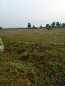 Lake view city Plot View 3