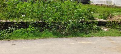 Image of 1500 Sq.ft Residential Plot / Land for sale in Paharia, Varanasi for Rs. 6000000