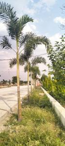 Image of 1030 Sq.ft 2 BHK Independent House for sale in Torwa, Bilaspur for Rs. 3033000