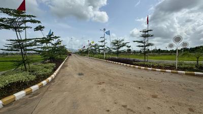 JDA PLOT Plot View 2