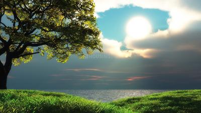 Image of 500 Sq.ft 1 RK Apartment / Flat for rent in ASMR Savannah, Erdhanur, Sangareddy for Rs. 5000