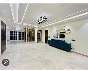 Hall Image of 890 Sq.ft 2.5 BHK Builder Floor for sale in Uppal Southend, Sector 49 Gurgaon for Rs. 14500000