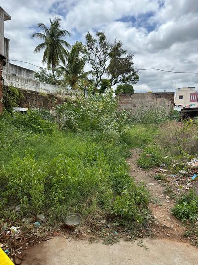 Baliganapalli Main Image 1