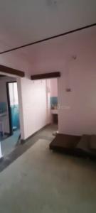 Living Room Image of 950 Sq.ft 2 BHK Apartment / Flat for rent in Govind Khamla Heights, Khamla Nagpur for Rs. 12000