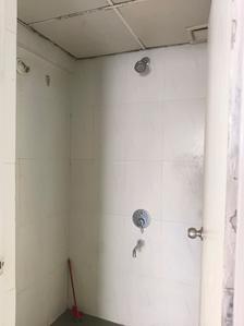 Common Bathroom Image of 588 Sq.ft 1 BHK Apartment / Flat for rent in Lodha Casa Rio, Palava Phase 1 Thane for Rs. 12900