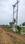 Bilhari Plot View 2