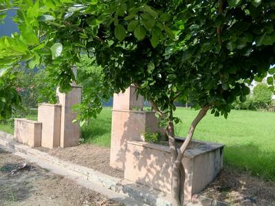 Image of 1320 Sq.ft Residential Plot / Land for sale in Rampur Pawti, Meerut for Rs. 7350000