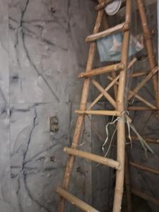 Bedroom One Image of 1550 Sq.ft 3 BHK Apartment / Flat for sale in Sector 74 Noida for Rs. 5900000