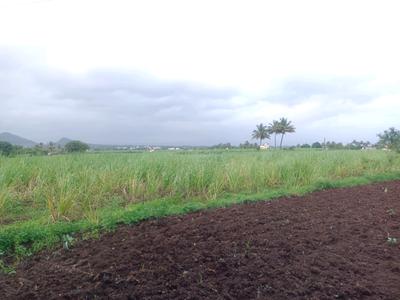 Image of 1089 Sq.ft Residential Plot / Land for sale in Punade, Raigad for Rs. 200000