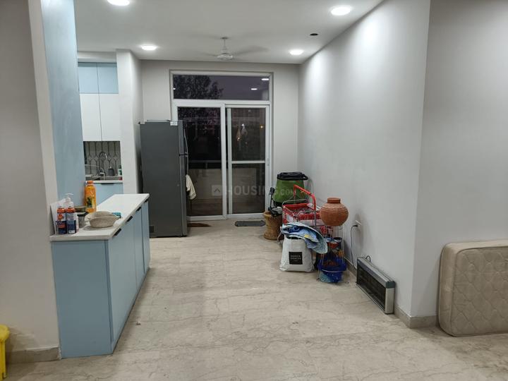 SS The Leaf Main Image 1