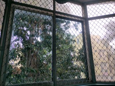 Bedroom One Image of 2250 Sq.ft 4 BHK Villa for sale in Bommanahalli Bengaluru for Rs. 22000000