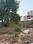 coming soon plots Main Image 1