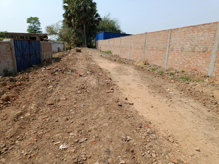 Naubatpur Main Image 1