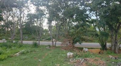 Image of 138303 Sq.ft Residential Plot / Land for sale in Nandi Hills, Chikballapur District for Rs. 254000000