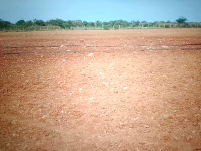 Image of 1089 Sq.ft Residential Plot / Land for sale in Pen, Raigad for Rs. 269000