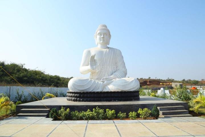 sangareedy peddapur Main Image 1