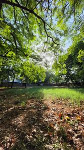 Premchand Nagar Society More Images 2