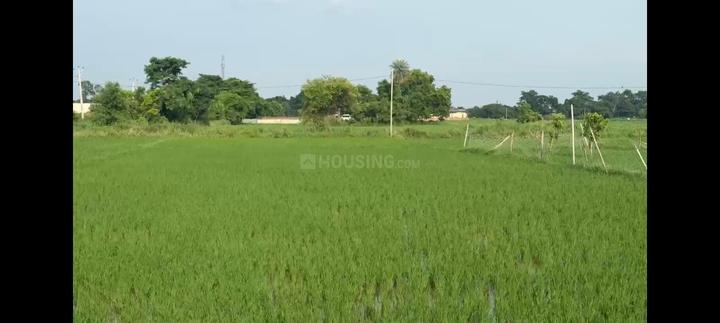 Naubatpur Main Image 1