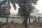 Rwa sector 31 Main Image 1