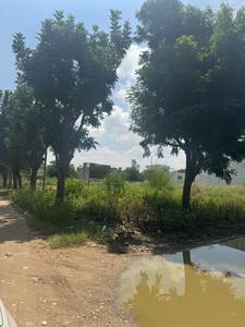 Residential Plot