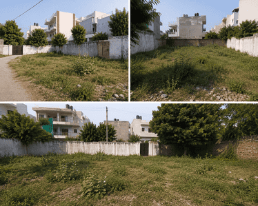 Block D Plot View 3