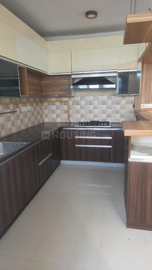 Zonasha Elegance Main Image 1