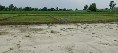 Kashi green city Plot View 1