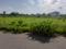 CSK Green Villas Main Image 1