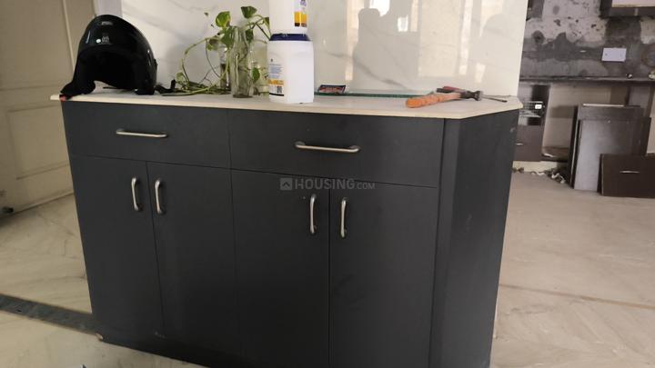 Niho Hi Bird Scottish Garden Main Image 1