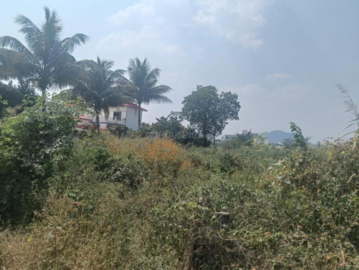 Nere Roadside project Main Image 1