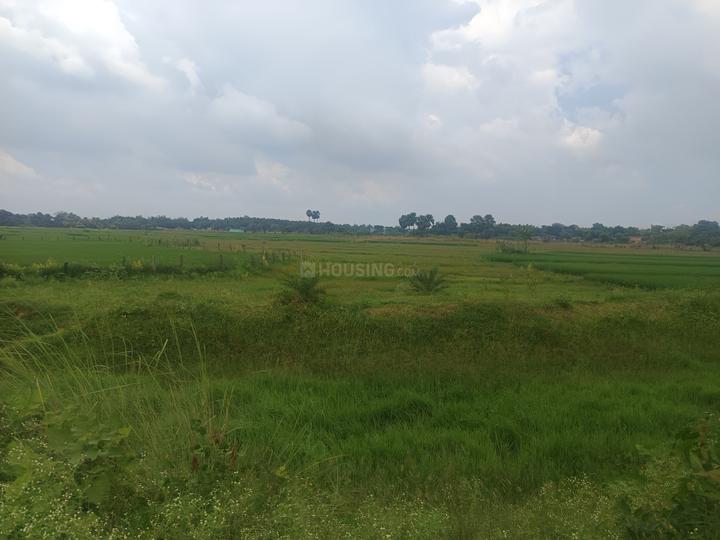 Santiniketan Main Image 1