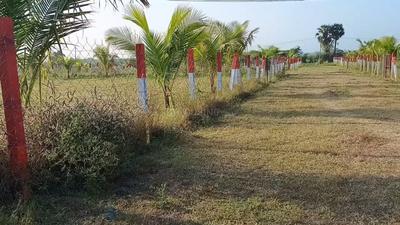 Image of 1200 Sq.ft 1 BHK Farm House for sale in Madurantakam, Chennai for Rs. 4000000