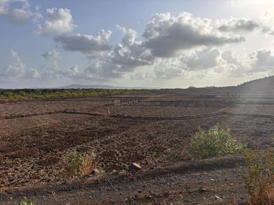Residential Plot
