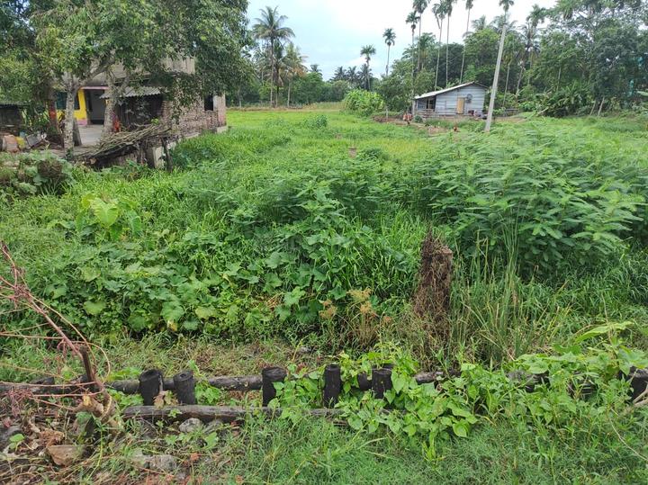 Kabardanga Main Image 1