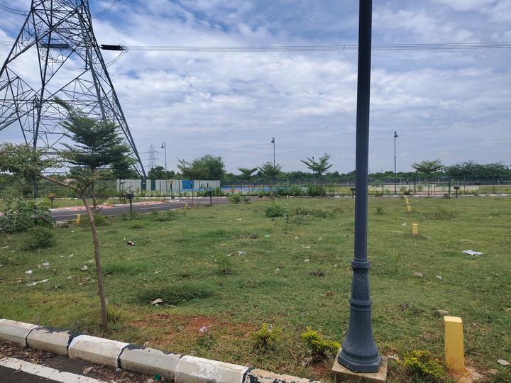 Pacifica Globus Palladium Main Image 1