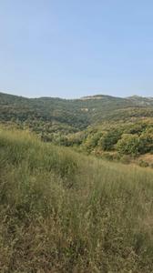 Image of 11000 Sq.ft Residential Plot / Land for sale in Sanjay Nagar, Pune for Rs. 2020000