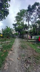 Pelku Plot View 2