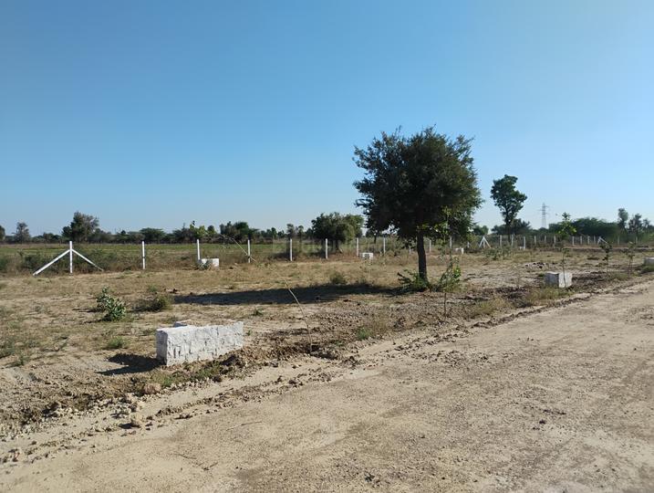 Jhalamand Main Image 1