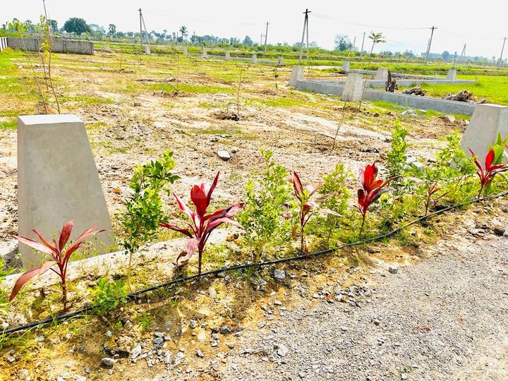 Renigunta Main Image 1