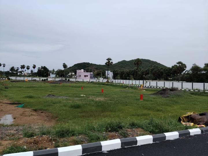 Nenmeli, Chengalpattu Main Image 1