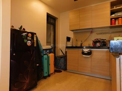 Kitchen Image of 800 Sq.ft 2 BHK Apartment / Flat for rent in Haware Tilak Nagar Shree Sainath CHS Ltd, Chembur Mumbai for Rs. 85000