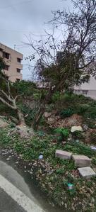 8th Phase Plot View 1