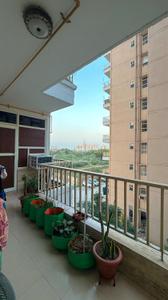 Balcony Image of 641 Sq.ft 3 BHK Apartment / Flat for rent in Terra Lavinium, Sector 75 Faridabad for Rs. 44000